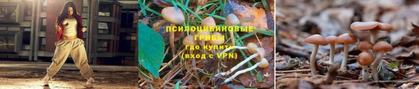 каннабис Беломорск